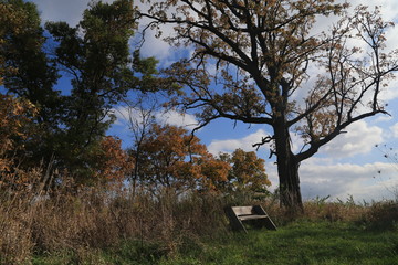 Clouds and Open Field