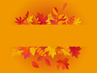 Colorful autumn leaves with copy space. Frame Vector illustration. Orange frame background.