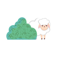 sheep bush nature cartoon design