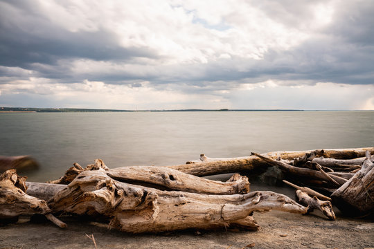 Rough snag on the shore in stromy weather. Long exposure.
