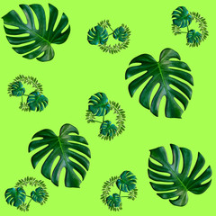 Fototapeta na wymiar Green palm leaves pattern for nature concept,tropical leaf on green background