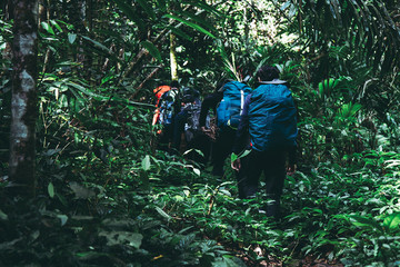 People walking or trekking to the forest at the mountain of Tak province, Thailand, Asia.