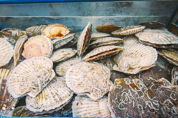 A pile of fresh scallops with textured shells, stacked closely together at a seafood market.