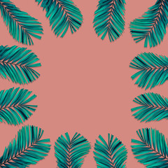 Green palm leaves pattern for nature concept,tropical leaf on pink background