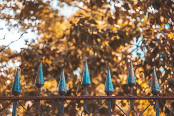 Old iron rusty fence with tree leaf in the autumn season tone.