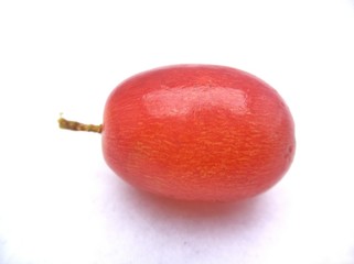 apple on white background
