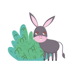 donkey bush nature cartoon design