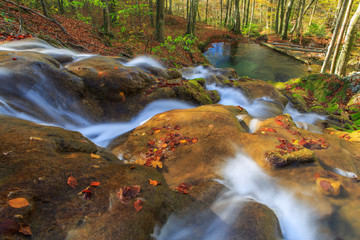 Beautiful stream and autumn colors in the forest, on a sunny day in November