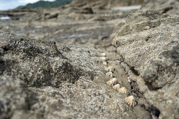 Beautiful close up view of the beach, reef and ocean in Costa Rica