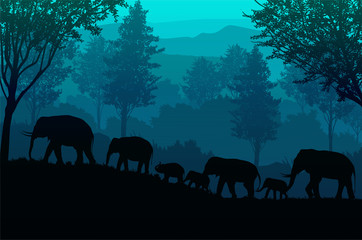 The elephants  in the forest Natural jungle green mountains horizon trees Landscape wallpaper Sunrise and sunset  Illustration vector style Colorful view background