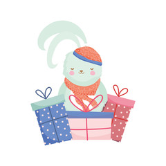 fluffy rabbit adorable gift boxes merry christmas