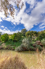 Werribee River Bank vert
