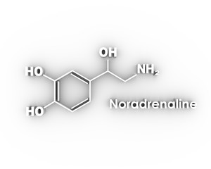 Chemical molecular formula hormone noradrenaline. Infographics illustration. 3D rendering