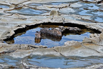 The patterns of erosion in the rock pools revealed by the low on the rock platform at Shack Bay, Inverloch in South Gippsland