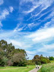 Obraz premium Walkers vert