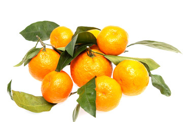 fresh tangerines on a white background
