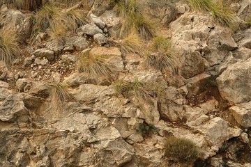 Stone wall for creating a design background