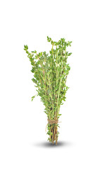 fresh green thyme isolated on white
