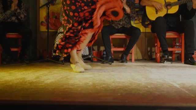This video shows the legs an an anonymous female flamenco dancer as she fiercely dances, stomps, and spins her red dress, with no sound.