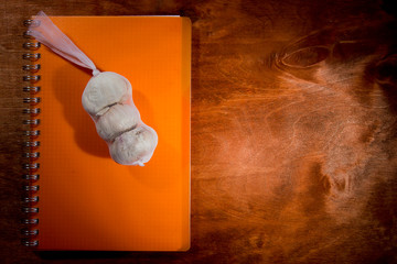 Garlic heads and orange notebook