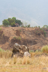 BEAUTIES OF NATURAL DAMAGE