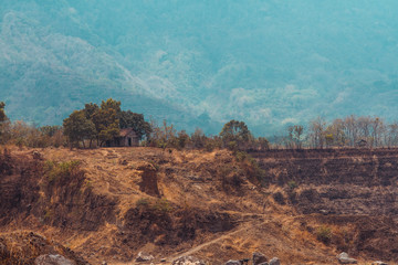 BEAUTIES OF NATURAL DAMAGE