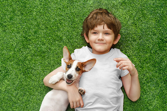 Child embracing puppy jack russell and lying on green carpet.