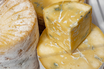Whole cheese heads and cheese slices. French traditional cheese with white and blue mold.