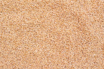 Wheat Grains Stack Closeup