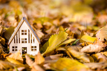 The symbol of the house stands among the fallen autumn leaves