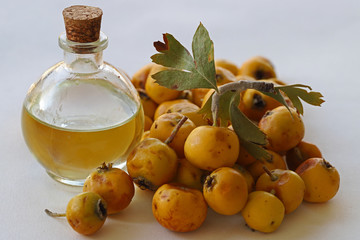 hawthorn fruit oil
