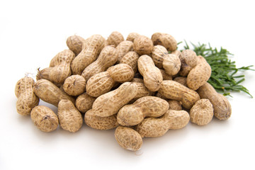 This is a picture of Peanuts.