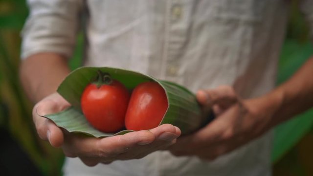 Eco-friendly product packaging concept. Vegetables wrapped in a banana leaf, as an alternative to a plastic bag. Zero waste concept. Alternative packaging