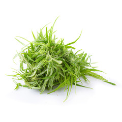 up-close with marijuana buds isolated on white background. concentrated cannabinoids from marijuana plants