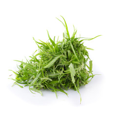 up-close with marijuana buds isolated on white background. concentrated cannabinoids from marijuana plants