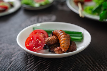 Fried Worm, Insect food with vegetable salad in the white bowl. Healthy meal high protein diet concept. Closeup, Selective focus.