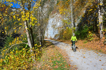 Obraz premium The woman is riding a bicycle along Dunajec river in autumn sunny day, Pieniny mountains