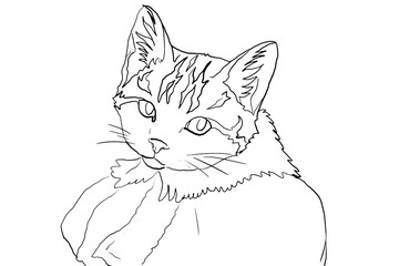 クリスマスようサンタの恰好の猫の塗り絵