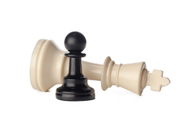 Black and white chess pieces on white background © fotofabrika