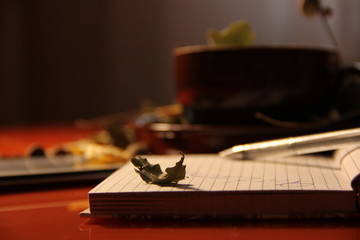 Great autumn background. in a brown mug are dry oak leaves and acorns. Nearby lies a phone - a smartphone and a notepad