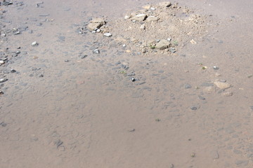 Puddle summer sunny day, rubble muddy water