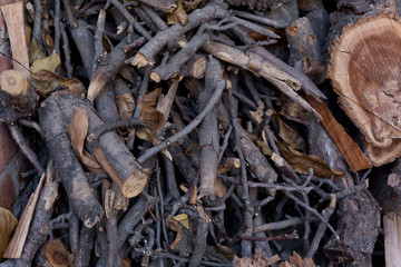 firewood dry large and small branches