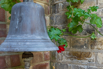 Obraz premium old bell red flower