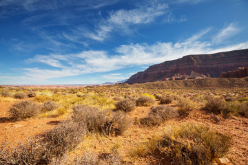 American prairie