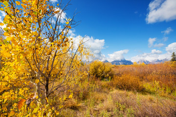 Autumn in Grand Teton