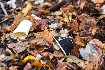 plastic cups lie among the leaves. Environmental pollution concept.