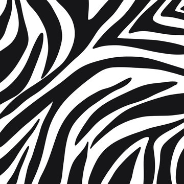 zebra seamless pattern