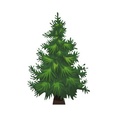 Hand drawn Fir tree with for your design. Cartoon style hand drawn christmas tree. illustration.