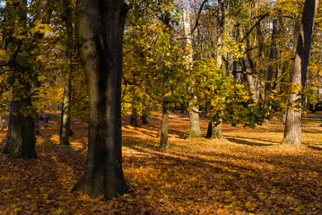 Park Konstytucji 3 Maja w Białymstoku, Jesień w parku, Białystok, Podlasie