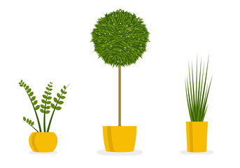 Plants in pots. Houseplant icon set. Indoor green plants. Vector illustration.